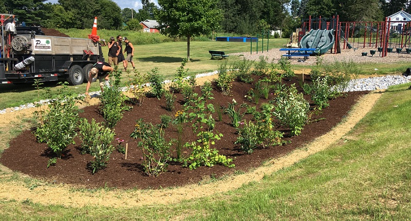 Bioretention 2 Clarendon school